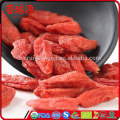 Good source of materials made in nature goji berry dried fruit goji berry dietary supplement goji berry during pregnancy with in